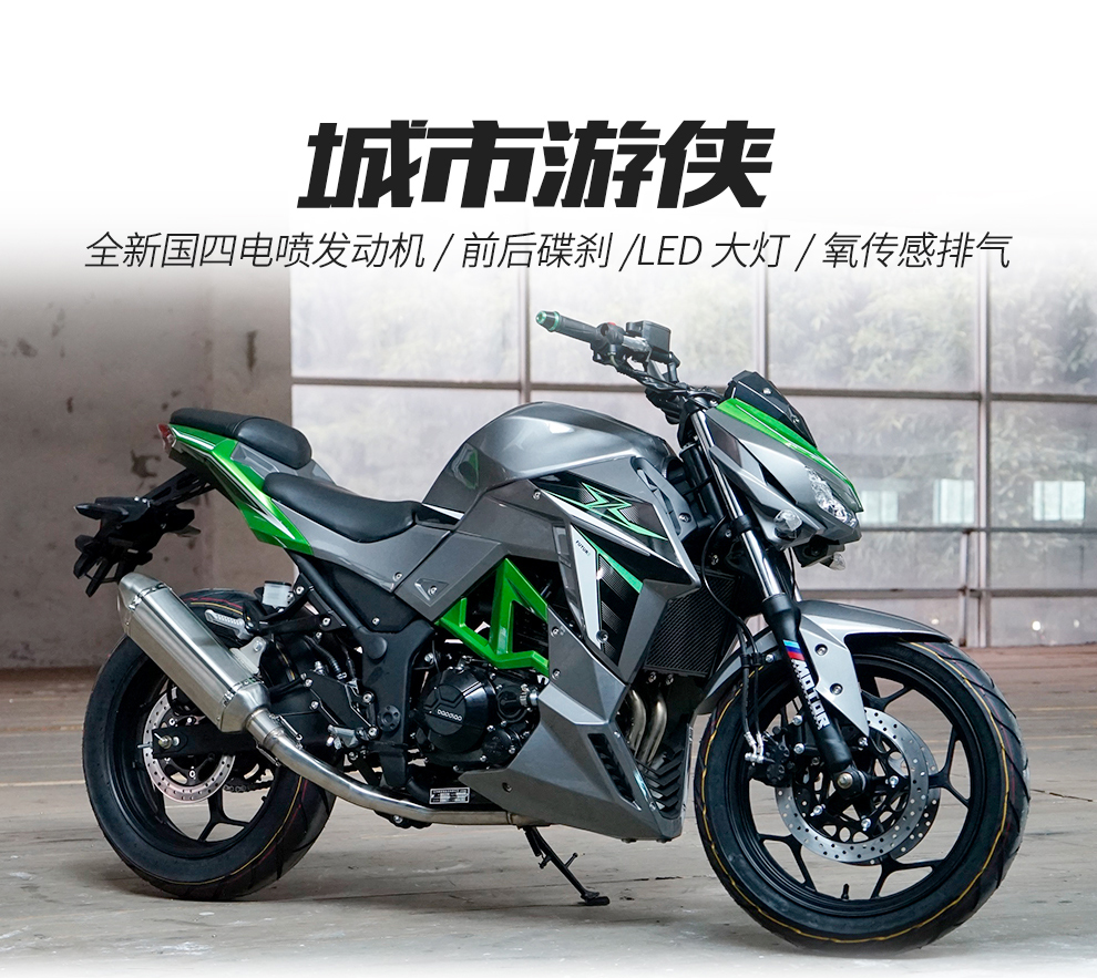 全新国四电喷大蟒蛇摩托车 z1000街跑车菜花蛇摩托车双缸水冷重型机车