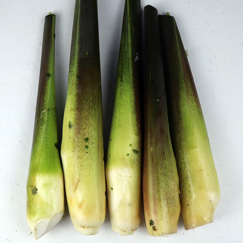 源外园湖北新鲜茭白时令蔬菜茭瓜高笋茭儿交白带壳农家自种现摘现发