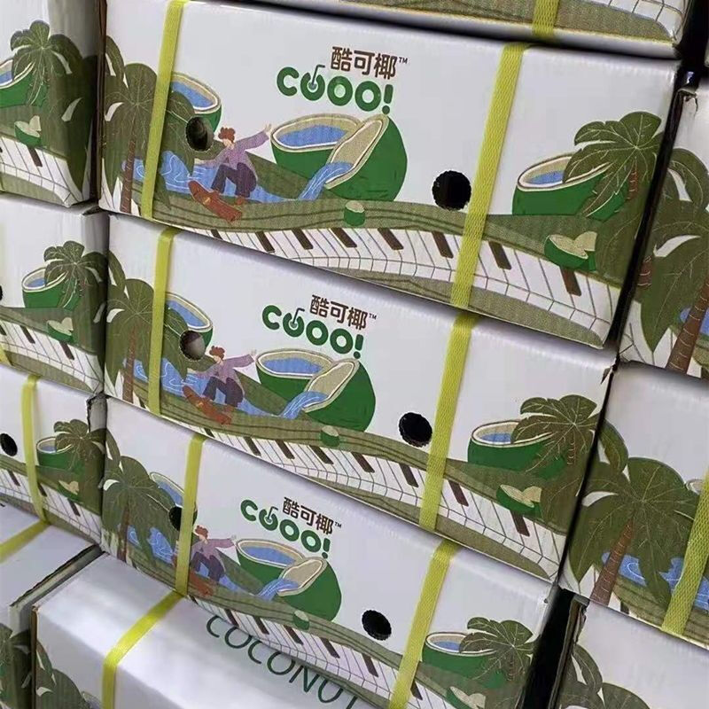 春光岛泰国网红酷可椰椰青易拉开大果香水椰青孕妇新鲜椰子整箱 4粒装