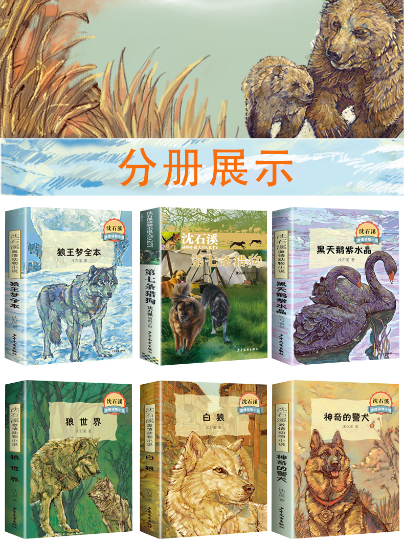 沈石溪激情动物小说全集全套8册狼王梦全本第七条猎狗一头战象中小