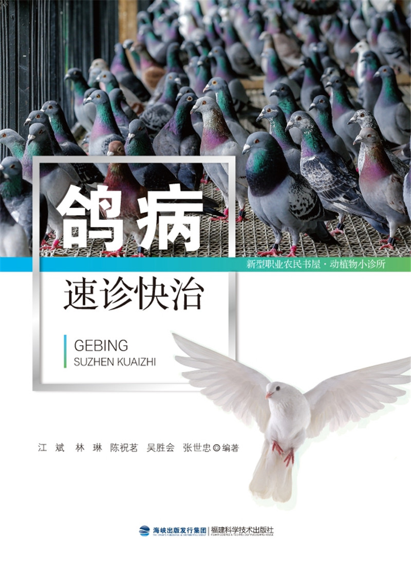 鴿病速診快治 鴿子高效養殖書籍 鴿病診斷與防治書籍 鴿子常見病 多發