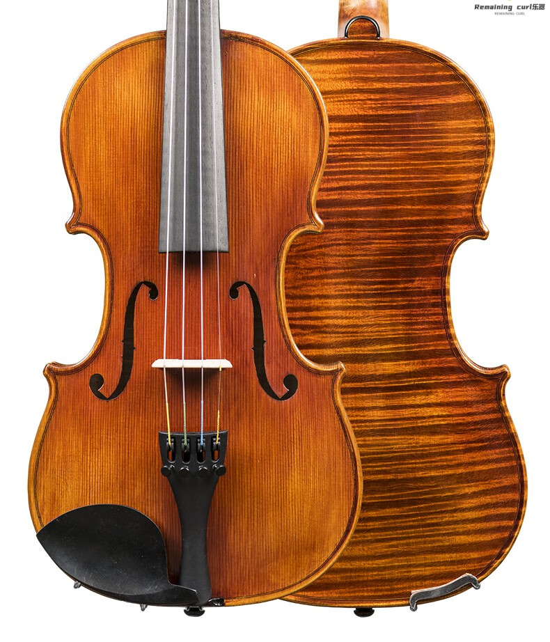西洋弦乐器 小提琴 remaining curl 纯手工整板小提琴考级小提琴独板