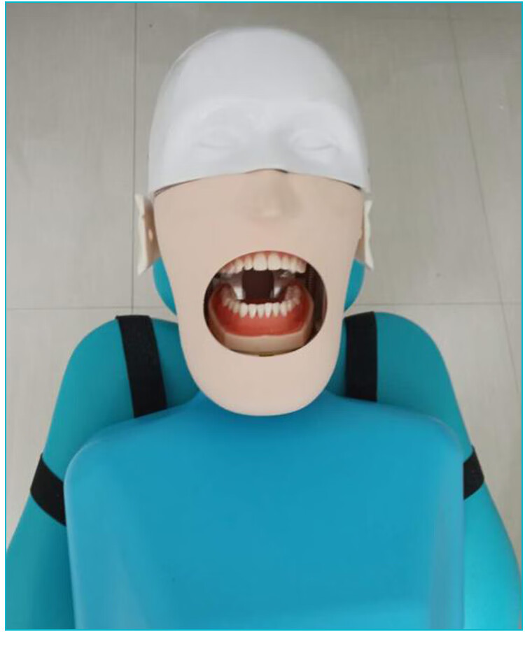 牙科口腔树脂根管种植离体牙模牙备牙练习模型椅绑式肩体仿真头模 桌