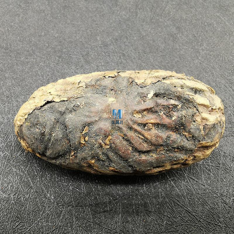 京品优选千眼菩提原籽千眼菩提子原籽料成品手串红纹老大把件通货原创