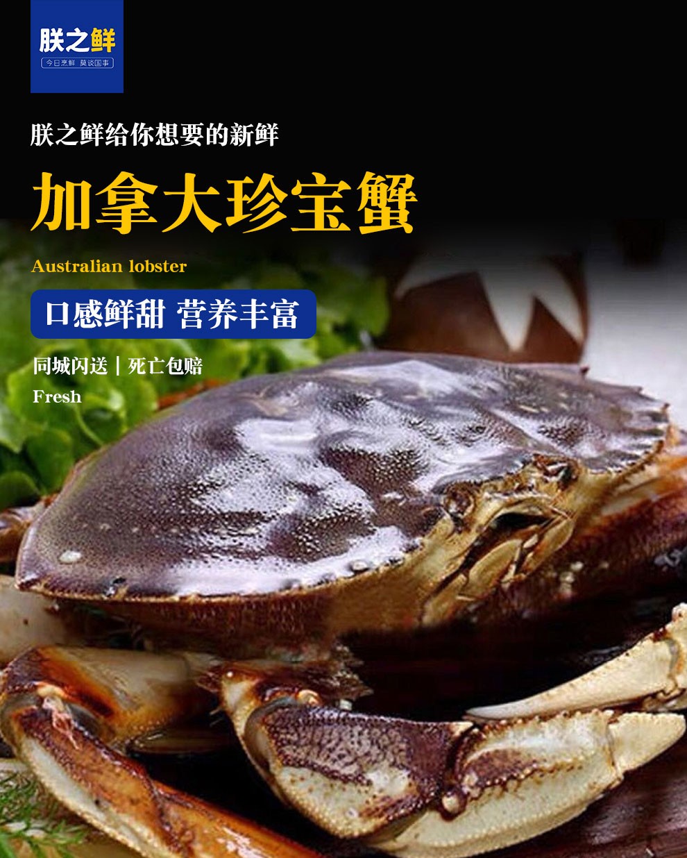 【活鲜】朕之鲜 珍宝蟹鲜活 螃蟹超大中秋节礼品同城速配 鲜活珍宝蟹