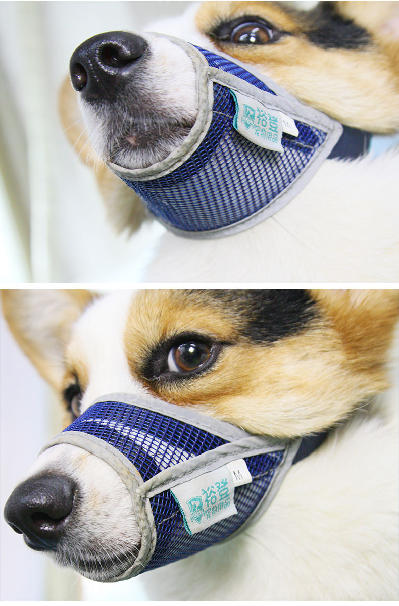 狗嘴套小型犬狗狗网状透气嘴套防咬防叫防乱吃止吠器宠物嘴罩大中小型