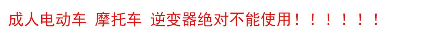 3，TNBROTHERS12v伏鋰電池充電大容量電池電動辳用擺攤童車打葯電瓶 三元鋰能12a+品口充電器