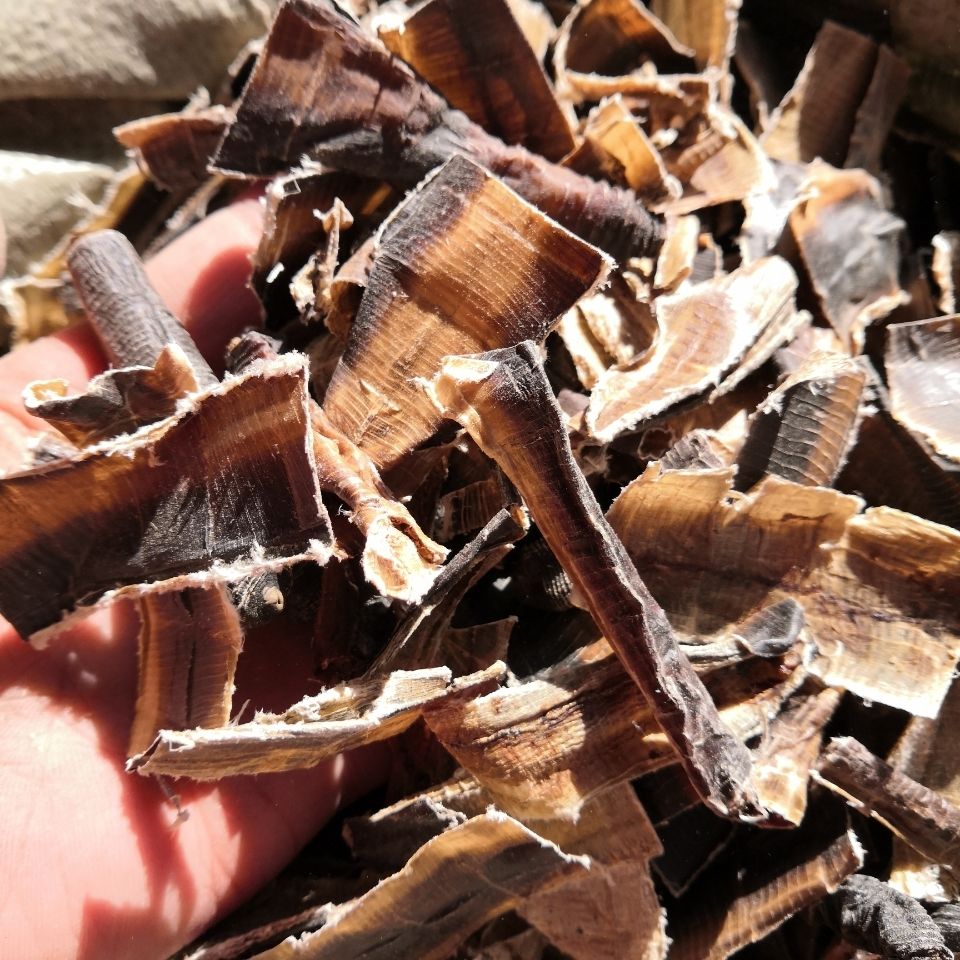 地龙干片地龙粉中药材蚯蚓皮干广西野生全开无土大片货地龙皮干