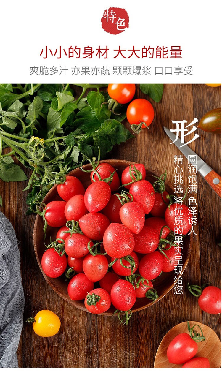 媚调釜山88玲珑小番茄圣女果爆浆脆甜水果山东平度柿子樱桃西红柿新鲜