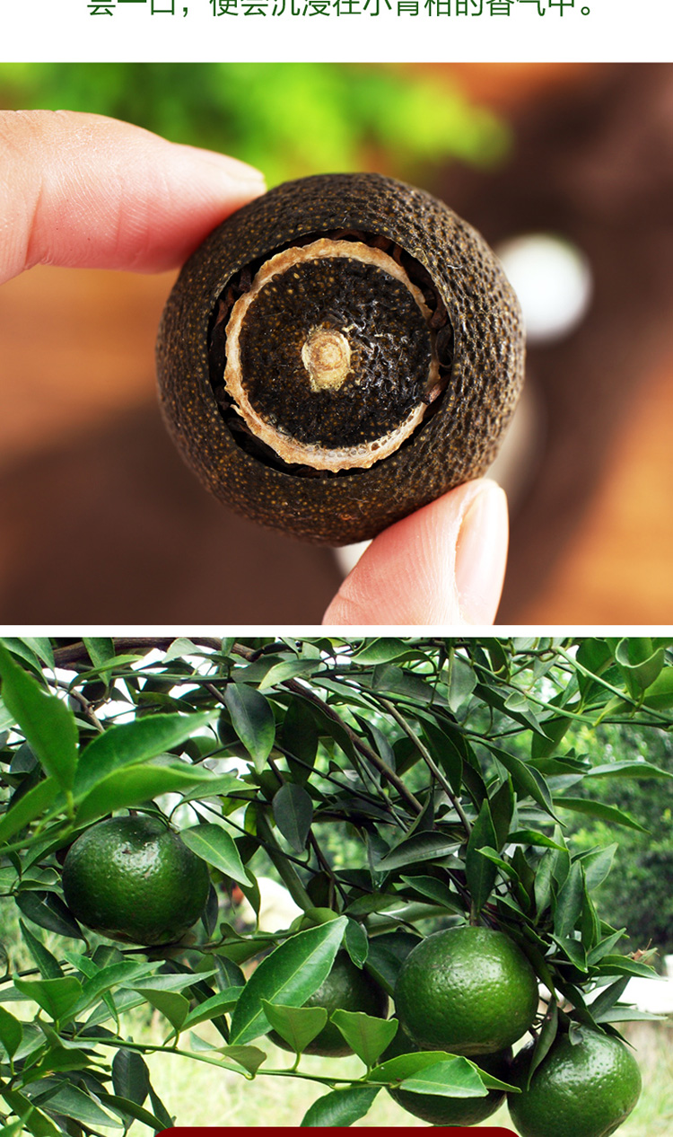 顺丰多地隔日达新会柑鲜果新鲜小青柑天马村新鲜小青柑新会茶枝柑鲜果