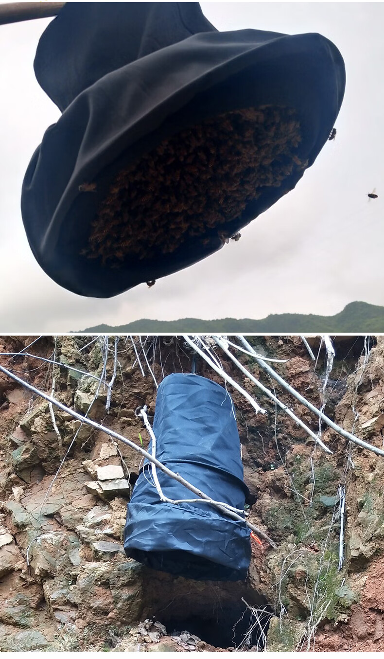 蜜蜂收蜂笼装蜜蜂收蜂袋野外诱蜂招蜂笼子捕蜂笼蜂具全套和诱蜂蜡 不