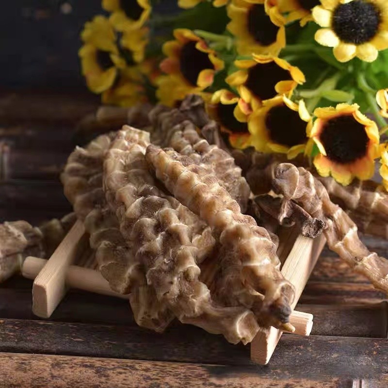 仕联 云南野生顶天柱中药材起阳草虫草参干续阳草 回春草 不老搭配淫