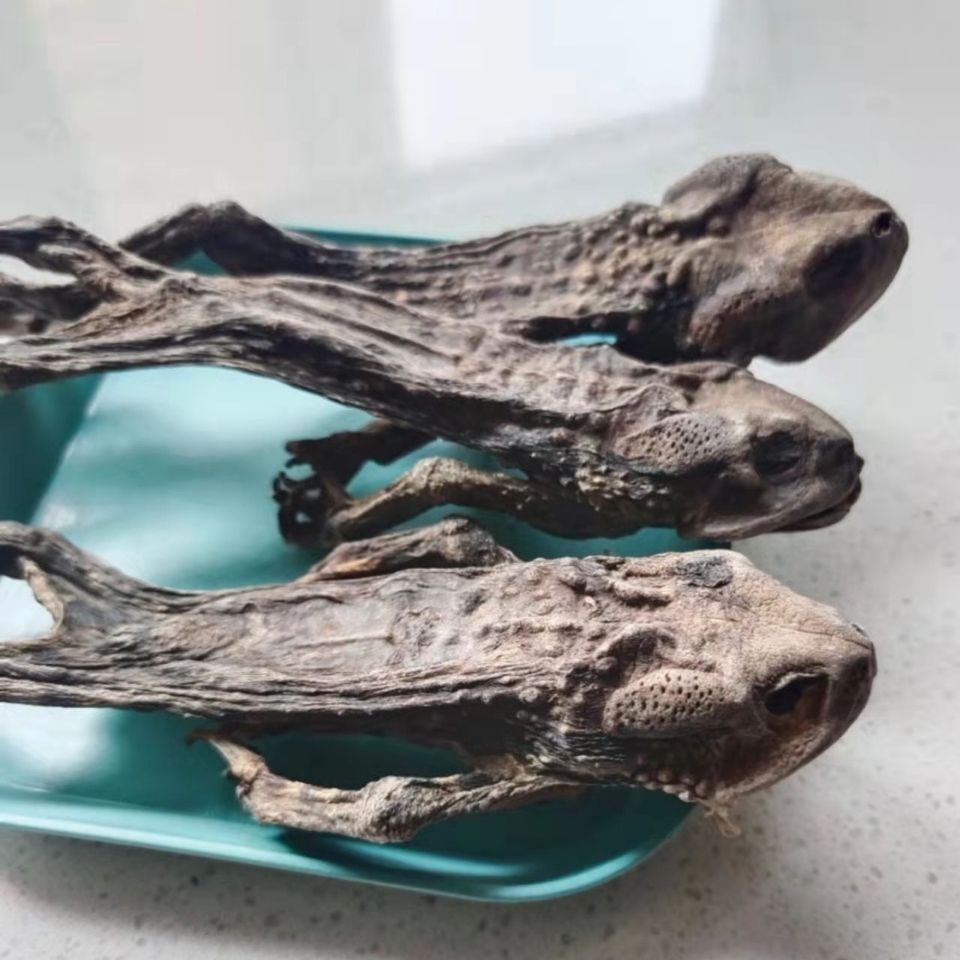 北京同仁堂原料 中药材干蛤蟆整个,蝉个蝉余,整个500克内廷上用 官方