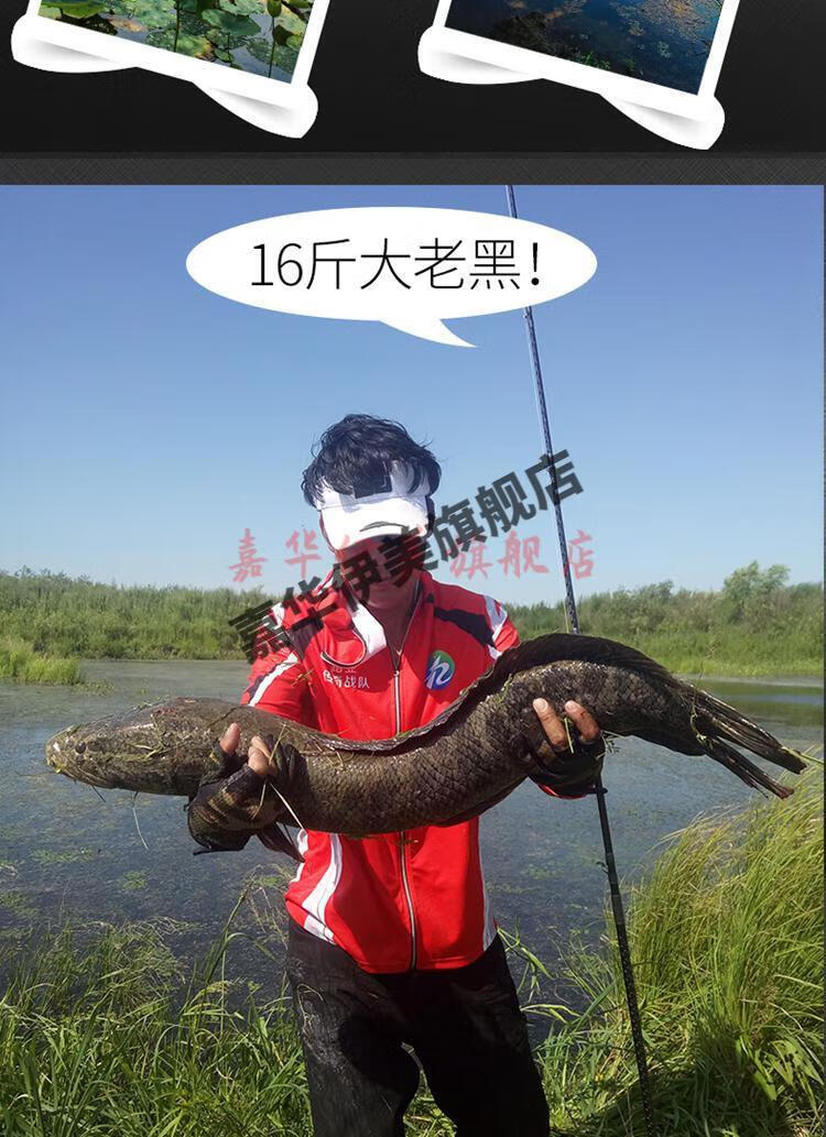 雷蛙路亚饵30克远投20克30超大号克重浮萍雷蛙路亚饵黑鱼专杀用打黑