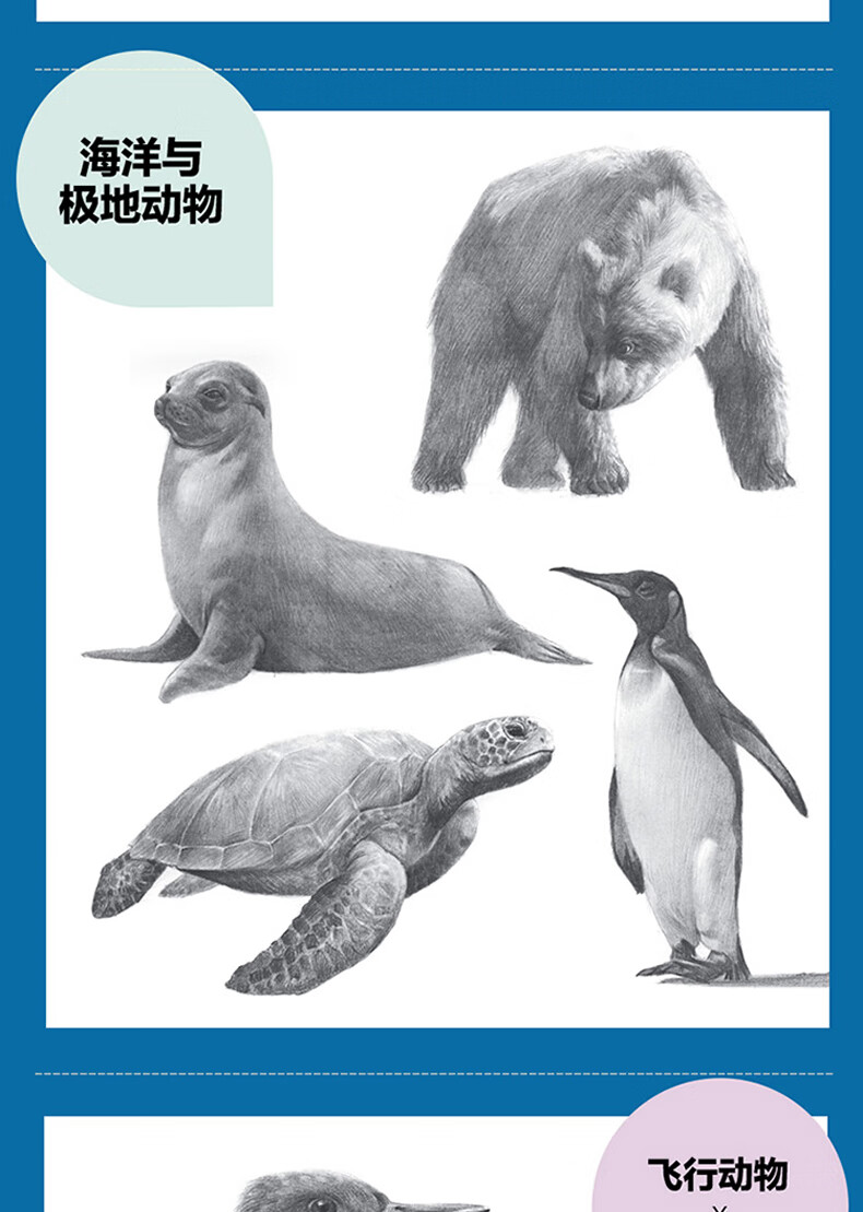 灌木文化 素描从入门到精通 动物素描书籍 绘画基础课程训练