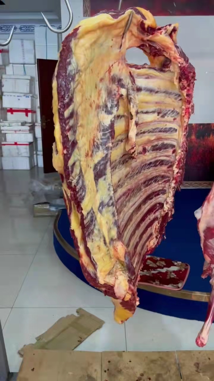 内蒙古呼伦贝尔南屯黄膘牛排骨新鲜原切草原黄牛肉肋骨