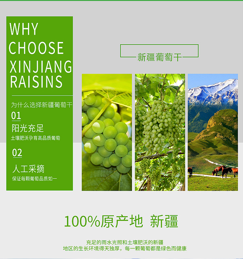 106142-贝鼠果果新疆特产吐鲁番精品葡萄干散装袋装大颗粒新货批发 精品葡萄干 500g*1袋-详情图