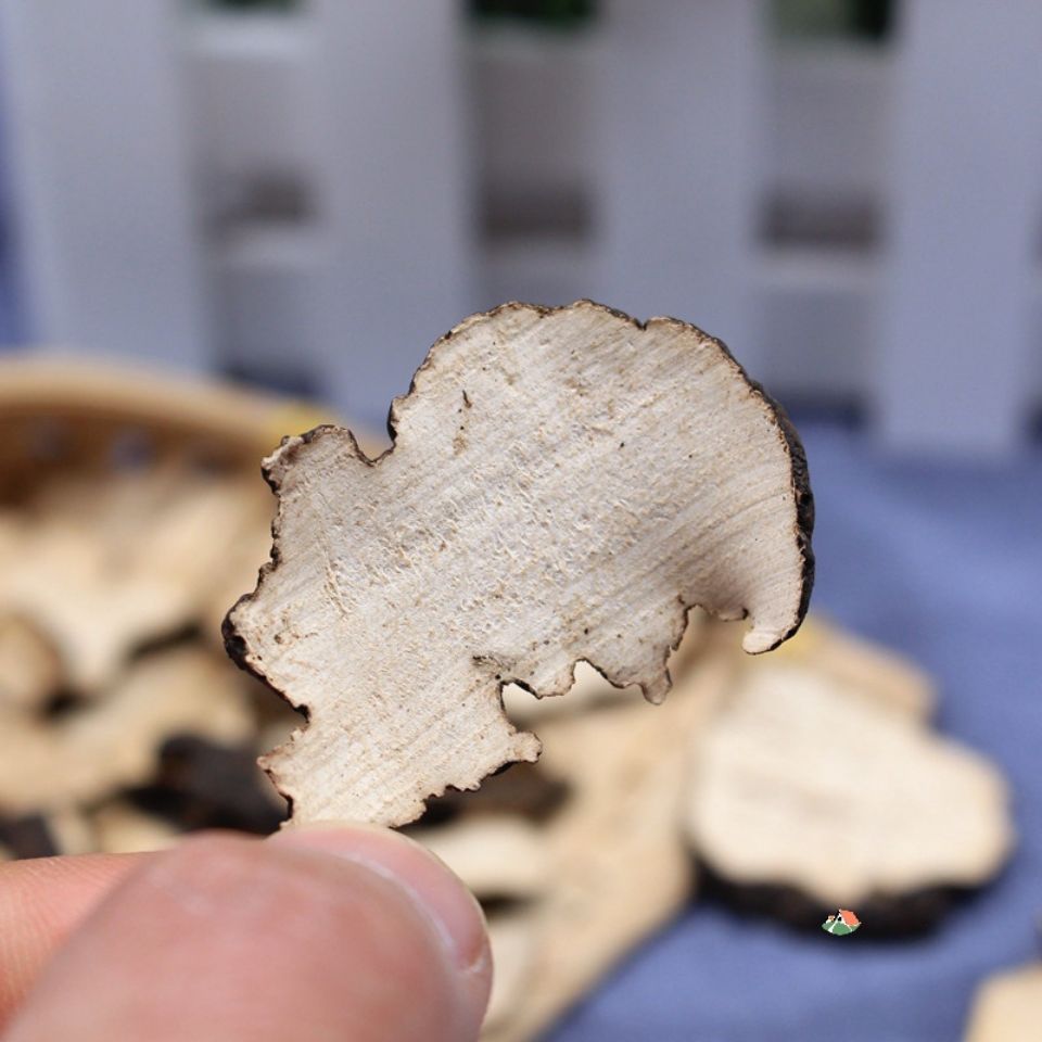 北京同仁堂原料猪苓中药材野生猪苓片猪屎苓豕苓粉猪苓猪茯苓猪灵芝