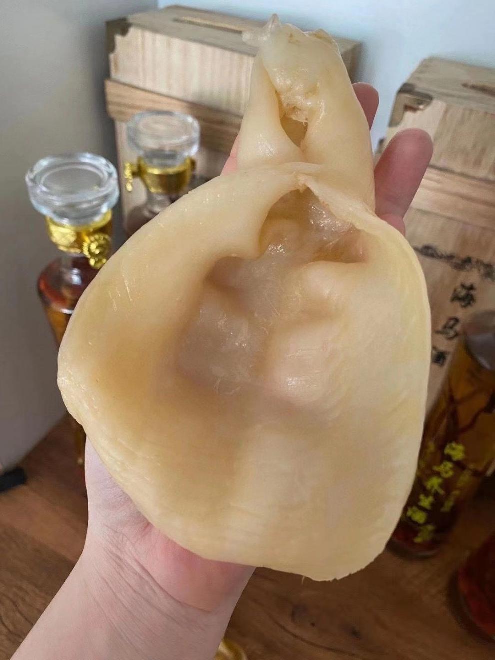 干货大号陈年蜘蛛老鱼胶花胶鱼鳔鱼肚泡滋补美容养颜 越南蜘蛛胶150g