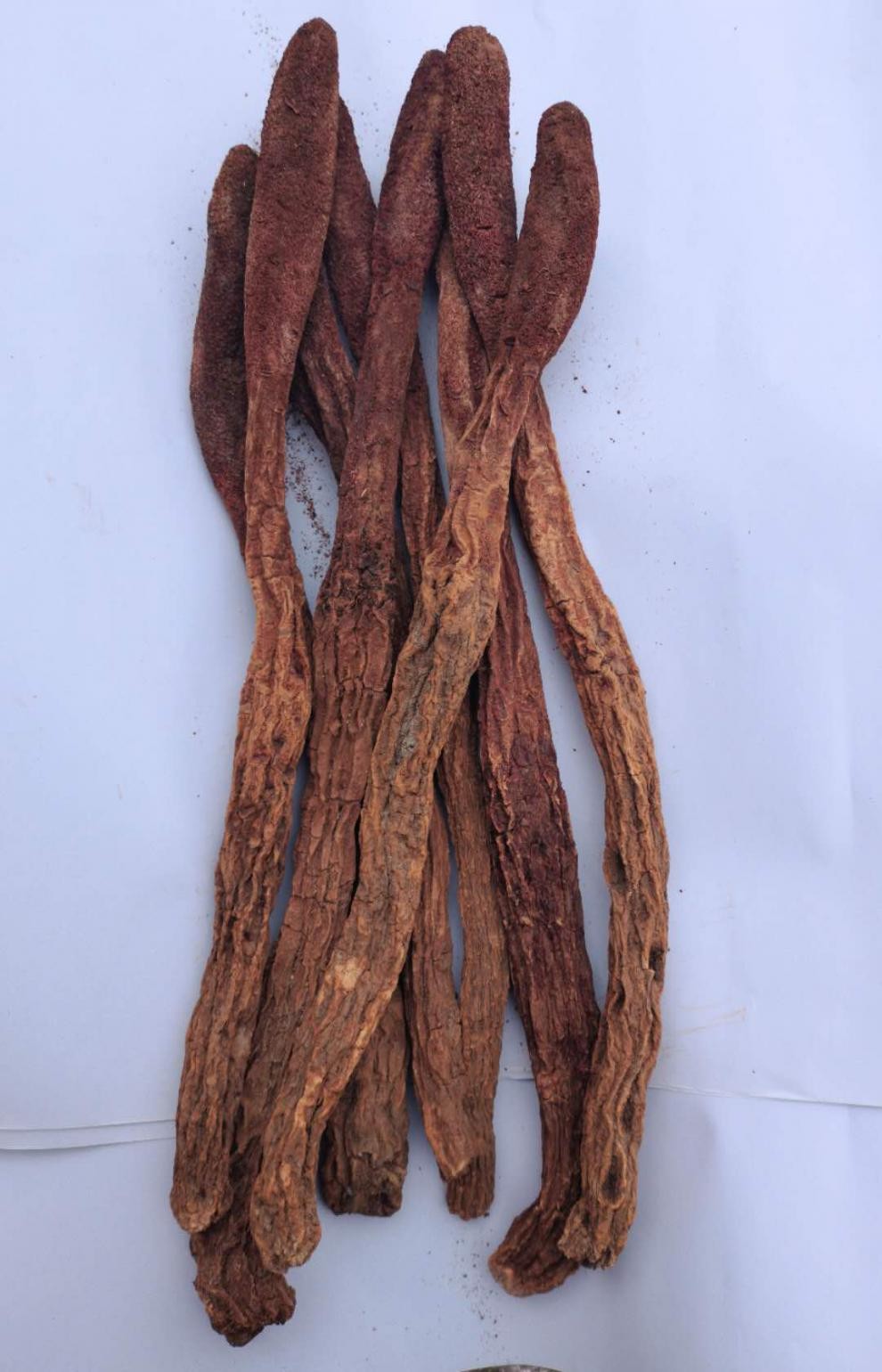 锁阳切片肉苁蓉淫羊藿泡水酒料男性滋补新疆中药材打粉 锁阳切片250g