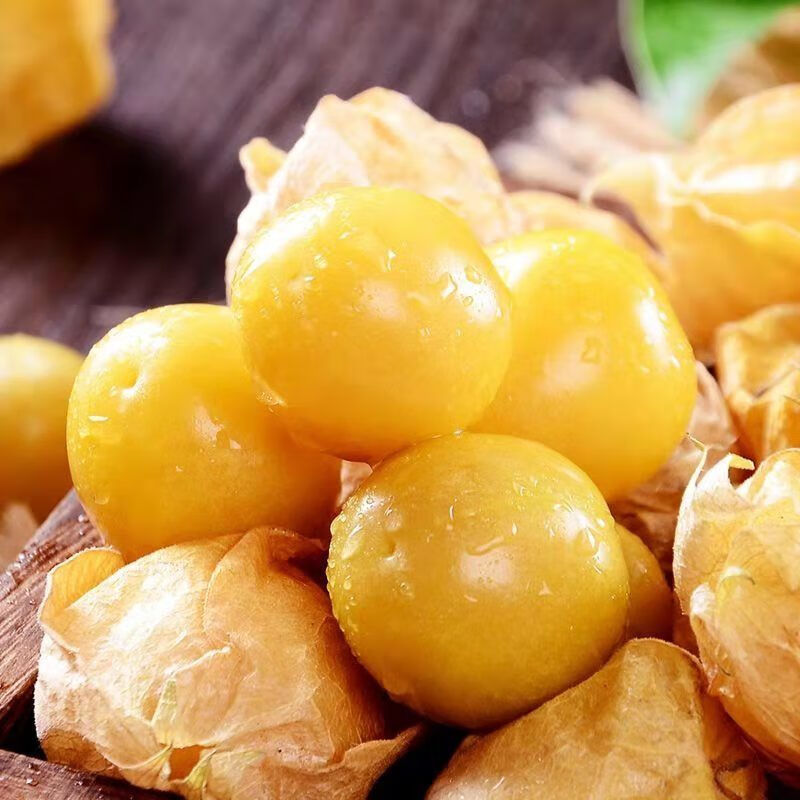 菇娘果黄姑娘灯笼果洋菇娘果东北特产黄金豆新鲜应季水果整箱 【来自