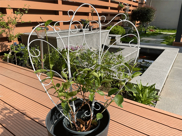 园艺包塑铁丝扎带扎线绑线手工diy爬藤盆栽定型造型花架支架扎丝 4.