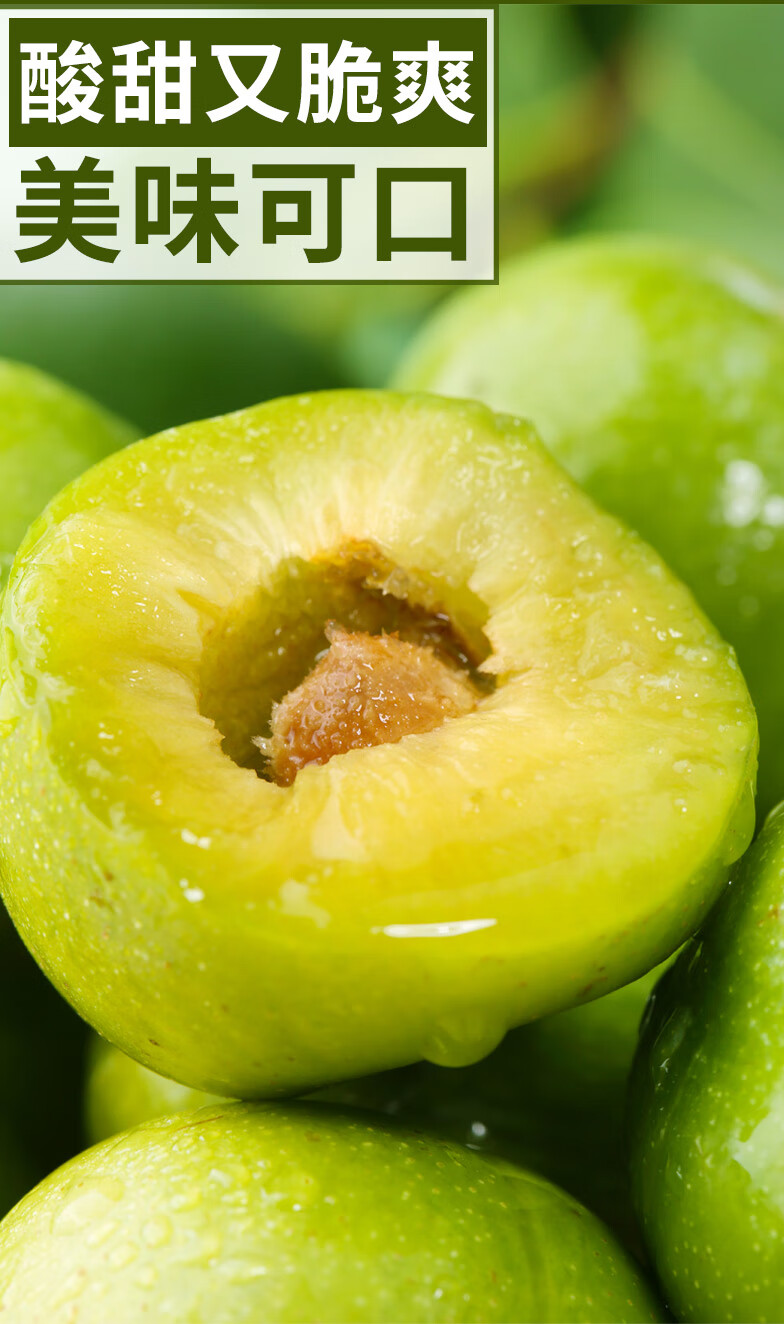 5斤四川汶川青脆李脱骨李子新鲜水果孕妇空心巫山脆甜土李子 5斤 20