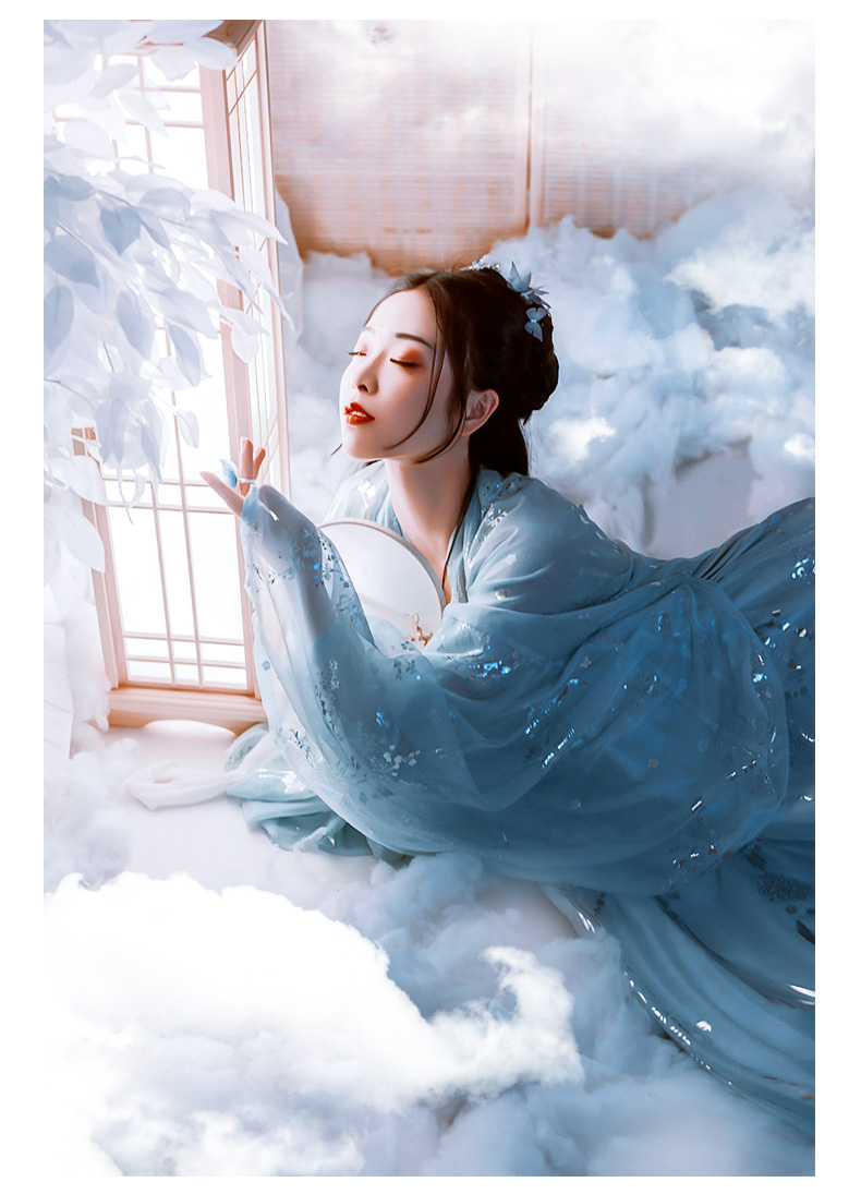 艺缕仙鹤汉服女襦裙广袖仙女飘逸传统中国风大袖衫春sn7861 蓝云鹤大