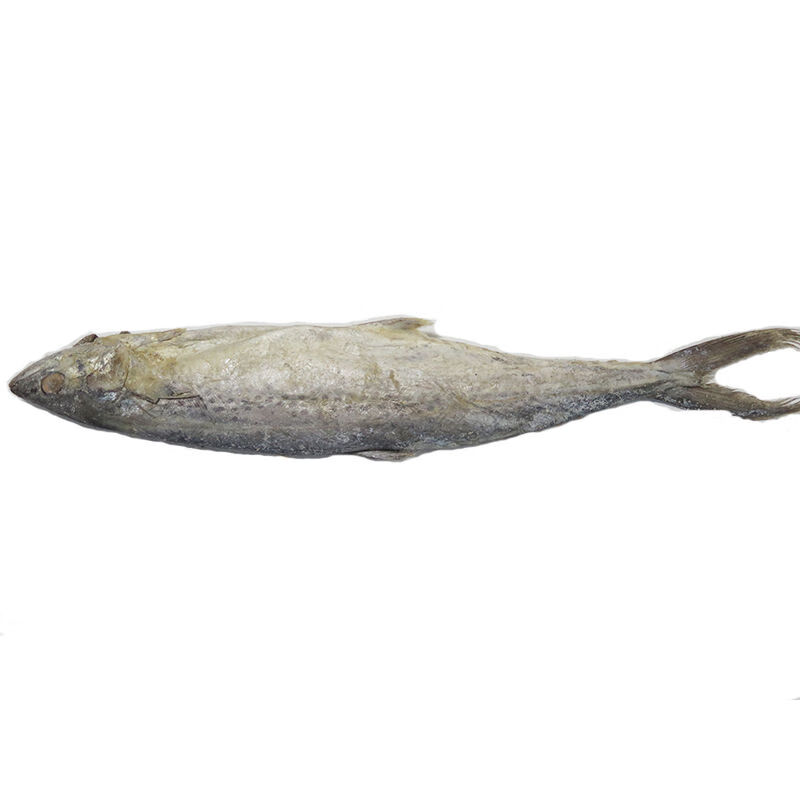 梅香马鲛鱼 梅香咸鱼广东特产 梅香马鲛咸鱼霉香马交咸鱼茄瓜煲 500g