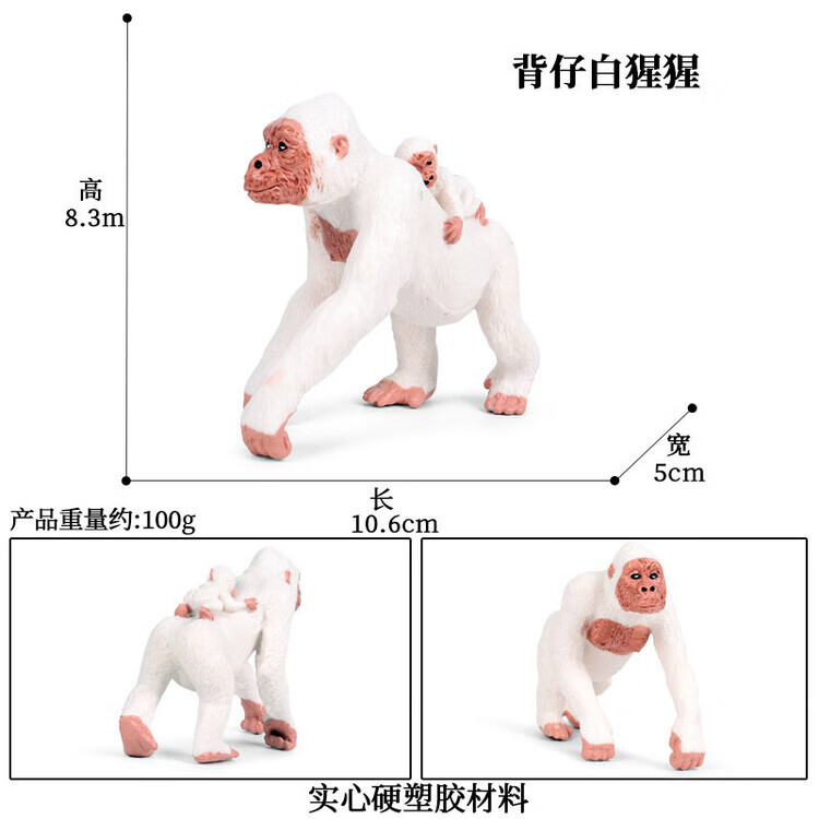PL127-417背仔白猩猩
