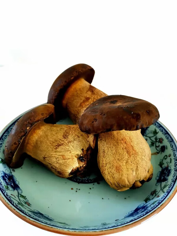 牛夫人鲜牛肝菌500g食用菌火锅食材炒菜煲汤精品菌菇酒店特菜供应 量