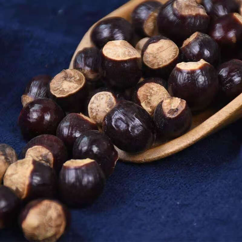 新货纯桂圆核 干桂圆核龙眼核 桂圆骨 元肉核 元肉籽元肉籽 100克试用