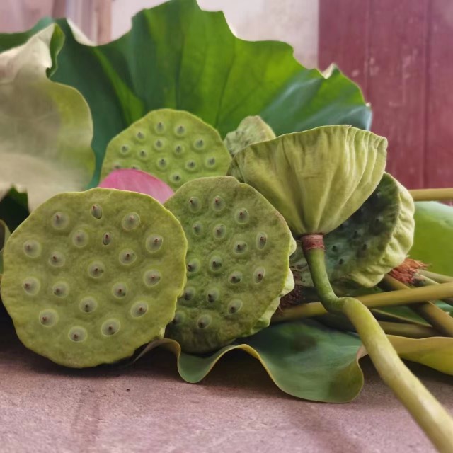 媚调【顺丰空运】湖北汉川汈汊湖新鲜水果莲蓬现剥莲子米冷链 500g