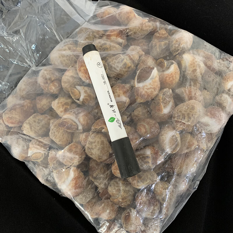 小鱼戏虾 花螺鲜活速冻东风螺冷冻贝类生鲜 8斤花螺【图片 价格 品牌