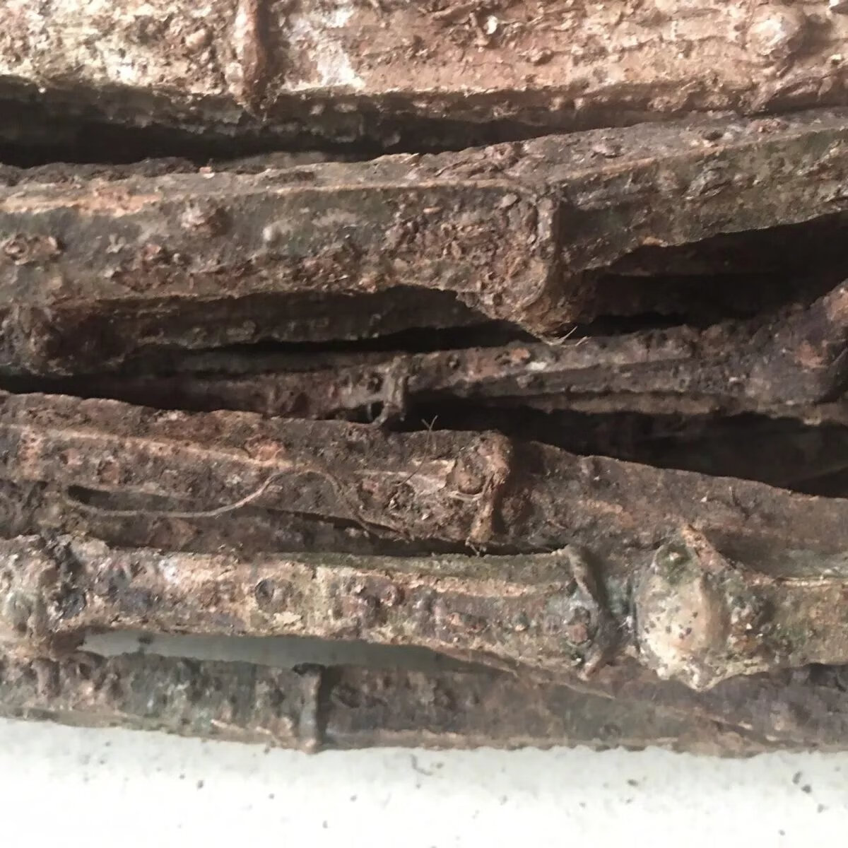 有仁堂广西四方藤野生四方藤新鲜中药材红宽筋藤春根藤伸筋藤煲汤