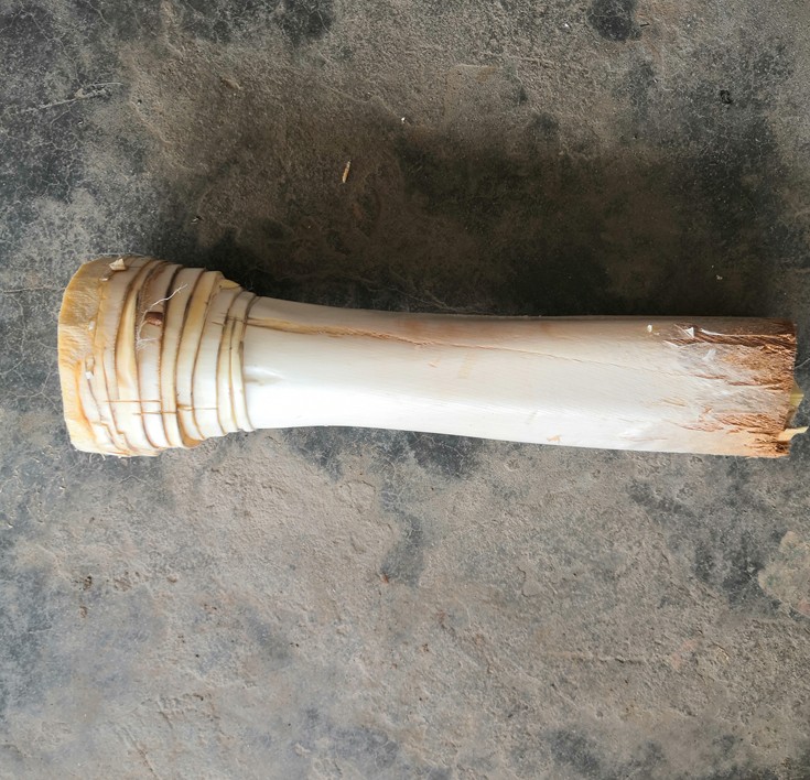 现新鲜甜棕树心棕树尖棕榈芯棕树头棕榈心棕榈树树心1个 1500g 1500g