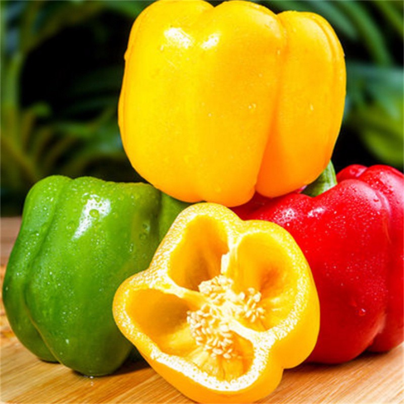 山东寿光新鲜灯笼彩椒圆辣椒五彩红黄水果甜椒太空椒即食蔬菜
 6斤