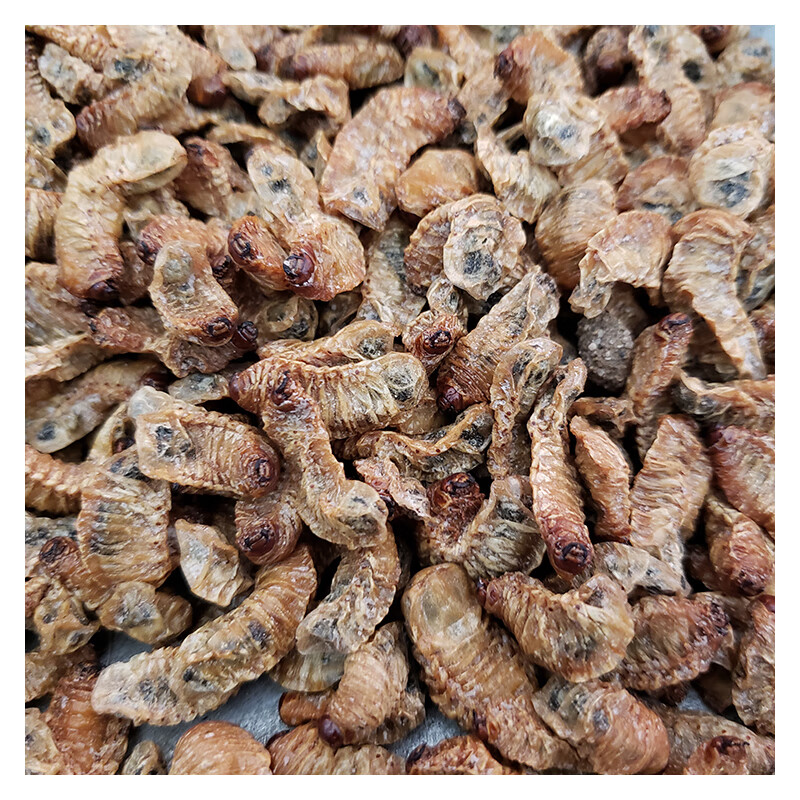 蛴螬250克蛴螬干土蚕老母虫核桃虫粪虫无硫干货中药材