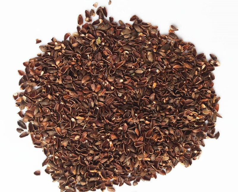 柏壳子枕头 侧柏树种子壳枕头柏籽壳枕芯 少白柏壳子忱头 黄印花