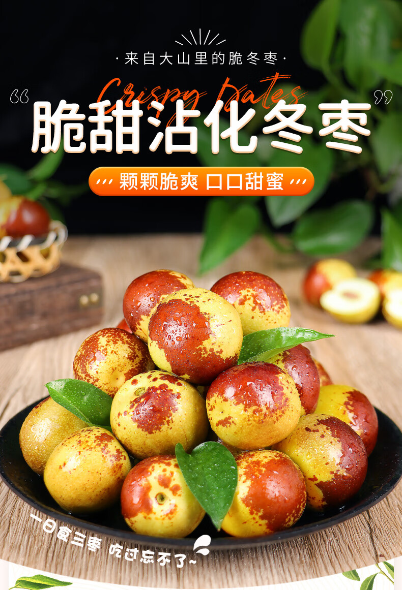山东5斤新鲜现摘水果甜脆枣子当季原产地直销大整箱 1斤 【中果12-16g
