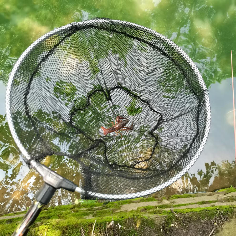 矢向 户外儿童小孩钓小龙虾神器线钩子钓虾杆金鱼竿捕螃蟹抓龙虾工具