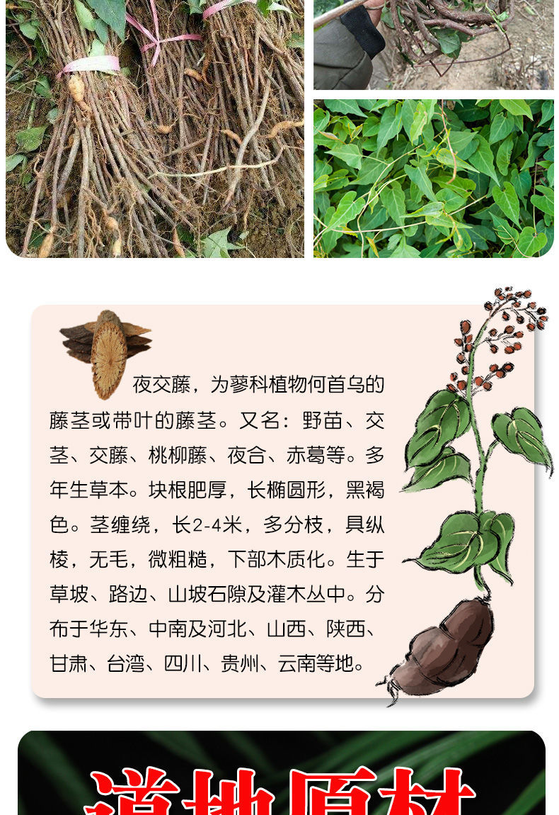 00g店铺:四维健康养生专营店商品编号:10051365324375商品名称:夜交藤