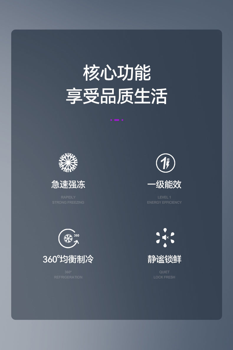 奇声冰箱一级能效家用双开门小型迷你冷藏冷冻宿舍出租房节能省电财领