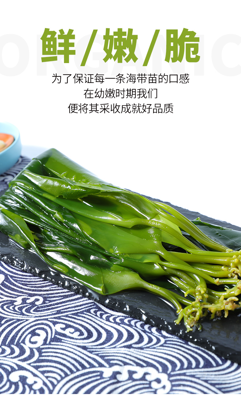 海带芽】海带苗嫩非特级非干货新鲜小海带芽盐渍嫩苗火锅菜 5斤海带特