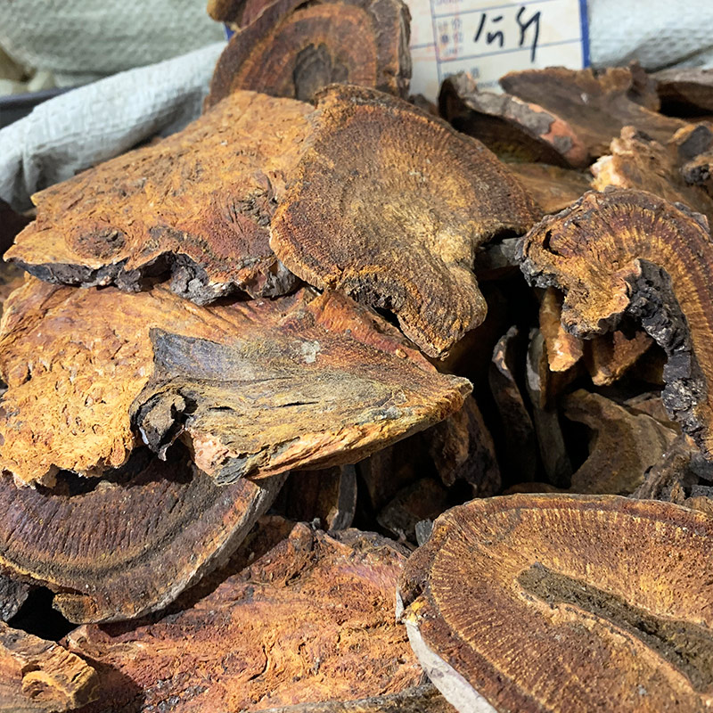 佗迎堂青海大黄500克中药材店铺中药材店铺药材大全