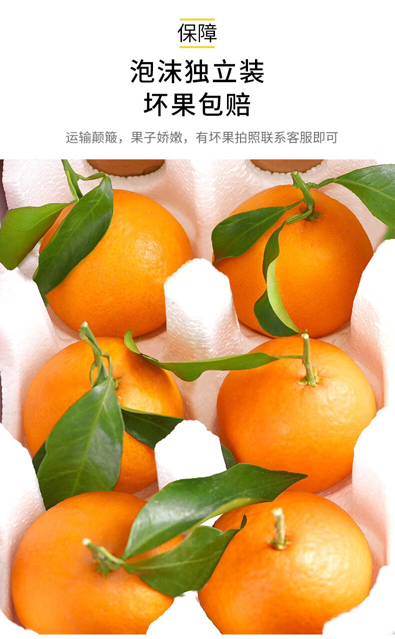 四川爱媛38号果冻橙10斤新鲜当季水果柑橘蜜桔子整箱大果 中大果【果