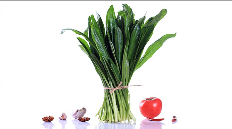 媚调 云南大香菜新鲜老缅芫荽傣族香料德宏大芫茜 泰国品种大芫荽2斤