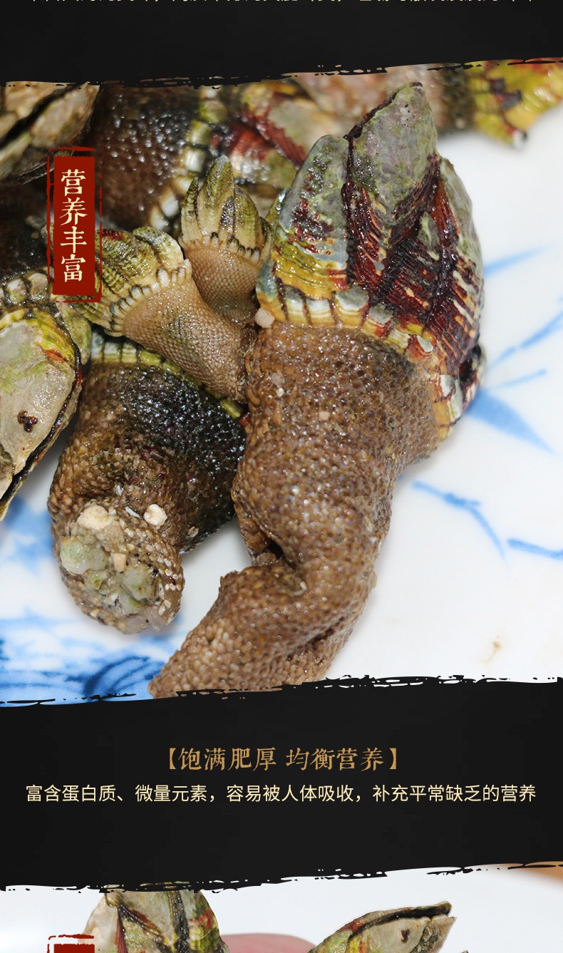 尚淘东山岛新鲜佛手螺400g盒佛手贝狗爪螺贝类壳类海鲜水产400g盒
