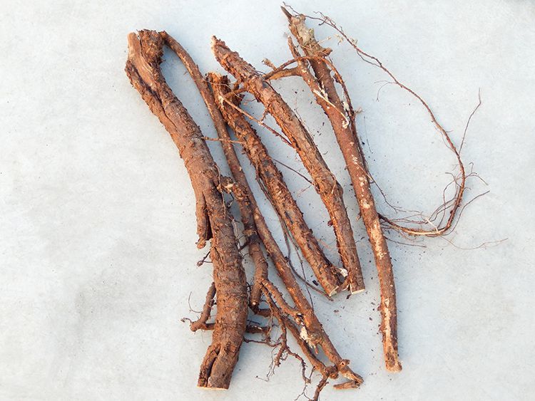 槐树根 野生槐根中药材国槐树根槐树皮老槐树根带皮洋槐根500g 500g