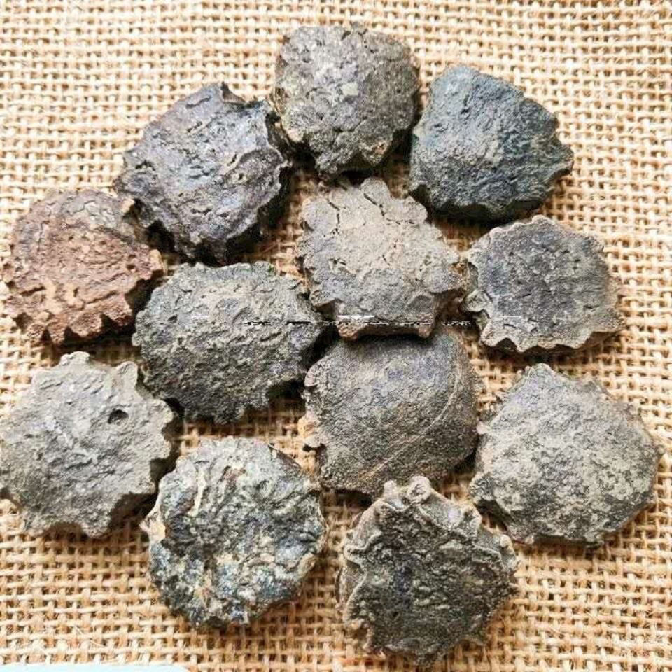 中药材木鳖子无硫番木鳖木别子土木鳖憋子果100g250克500克 木鳖子250